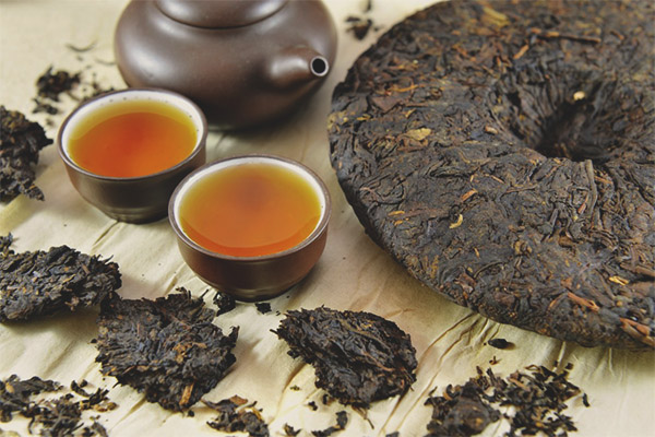 Chiết xuất trà puerh có tác dụng chống béo phì và giúp ngăn chặn sự tăng cân